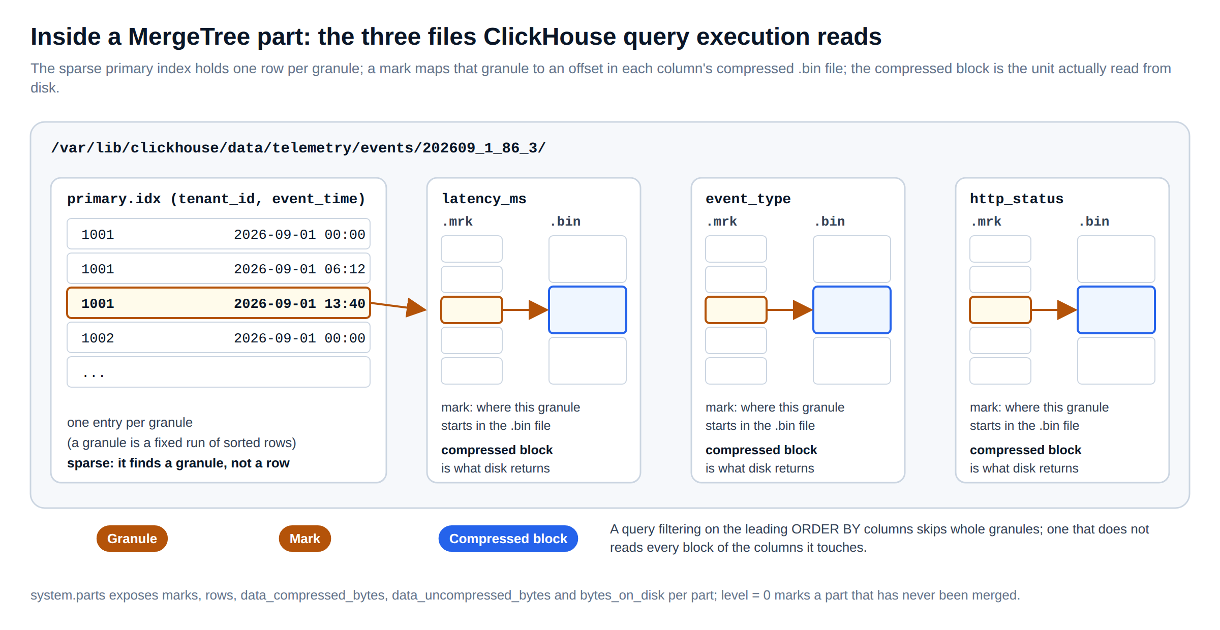 Inside a MergeTree part used by ClickHouse query execution: primary.idx with one entry per granule, a .mrk mark file per column pointing into the compressed .bin file